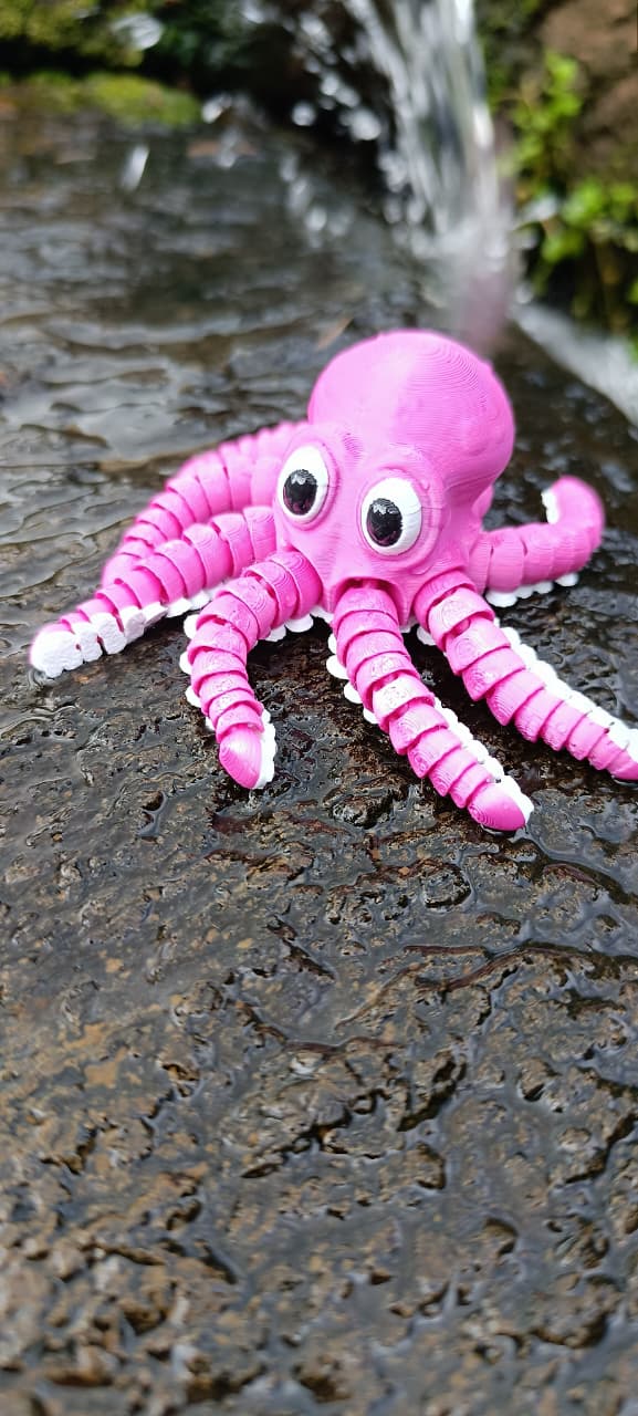 Polvo articulado Rosa e Branco