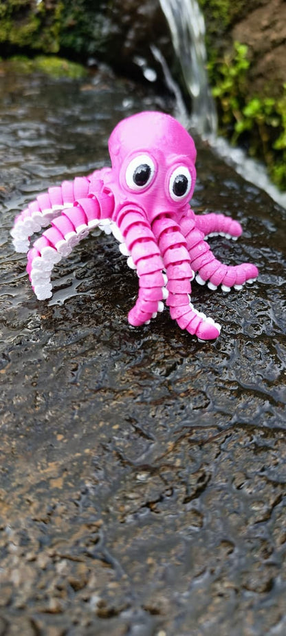 Polvo articulado Rosa e Branco