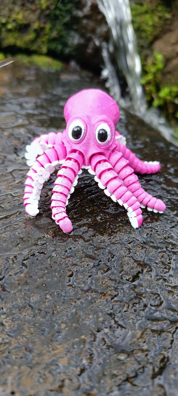 Polvo articulado Rosa e Branco